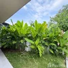 listing thumbnail image 1