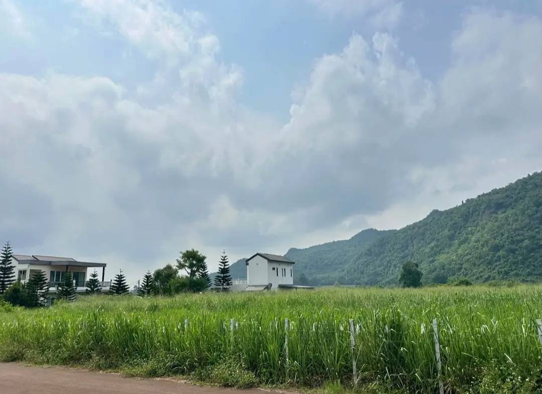 รูป ขายที่ดินเขาวง หนองน้ำแดง เขาใหญ่ ปากช่อง 1.5ไร่ วิวเขาสวยมาก ถนนลาดยางสาธารณะ เดินทางสะดวก ใกล้ธนะรัชต์ มอเตอร์เวย์M6 ที่สูง ไม่เปลี่ยว บ้านตากอากาศ - รูปที่ 4/5
