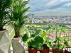 listing thumbnail image 29