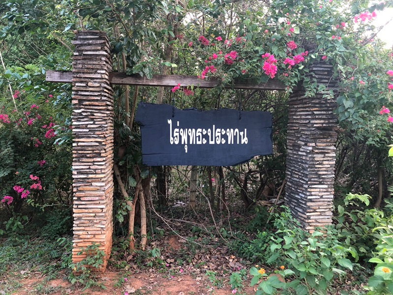 รูป 🌳 Rare Property! ขายอาณาจักรสวนป่าธรรมชาติ พร้อมลำธารกลางแปลง ต้นไม้ใหญ่ทั้งสวน วิวภูเขาด้านหลัง ติดถนนหลวง บนพื้นที่กว่า 16 ไร่ จ.กาญจนบุรี 🌿 - รูปที่ 6/11