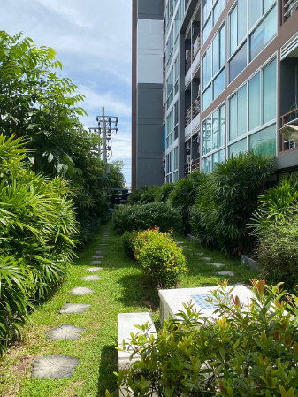 รูป ให้เช่าคอนโด ฮัมเบิล ลิฟวิ่ง @ศุภกฤษ์ รัชดา-สุทธิสาร Humble living Condo - รูปที่ 10/11