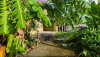 listing thumbnail image 25