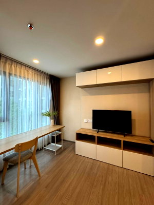 Condos for rent : 🔥 Modern Condo Near BTS Phra Khanong | Pool View | Newly Built-In | THB 17,500/Month