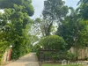 listing thumbnail image 24