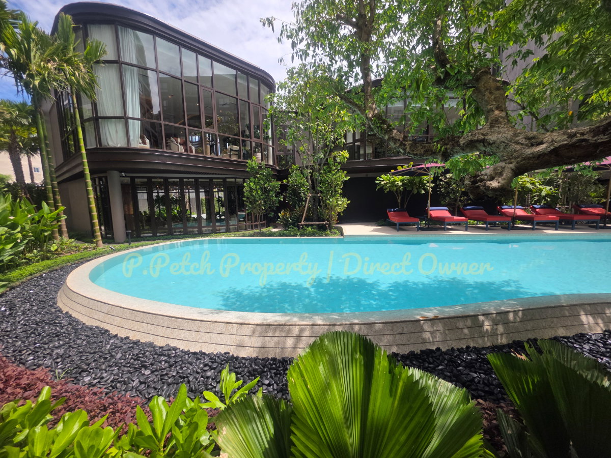 รูป ให้เช่า THE BASE Cherngtalay Phuket | 1 ห้องนอน 30 ตร.ม. | Fully Furnished พร้อมเข้าอยู่ - รูปที่ 11/30