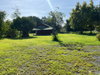 listing thumbnail image 37
