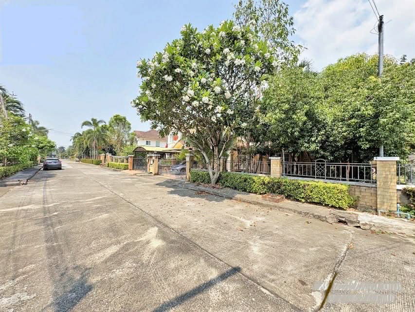 รูป บ้านเดี่ยว 4 ห้องนอน บนที่ดิน 76 ตร.ว. พื้นที่ใช้สอยกว่า 251 ตร.ม. ทำเลหางดง–สันป่าตอง พร้อมของแถมครบ ในราคาเพียง 4.89 ล้านบาท - รูปที่ 5/17