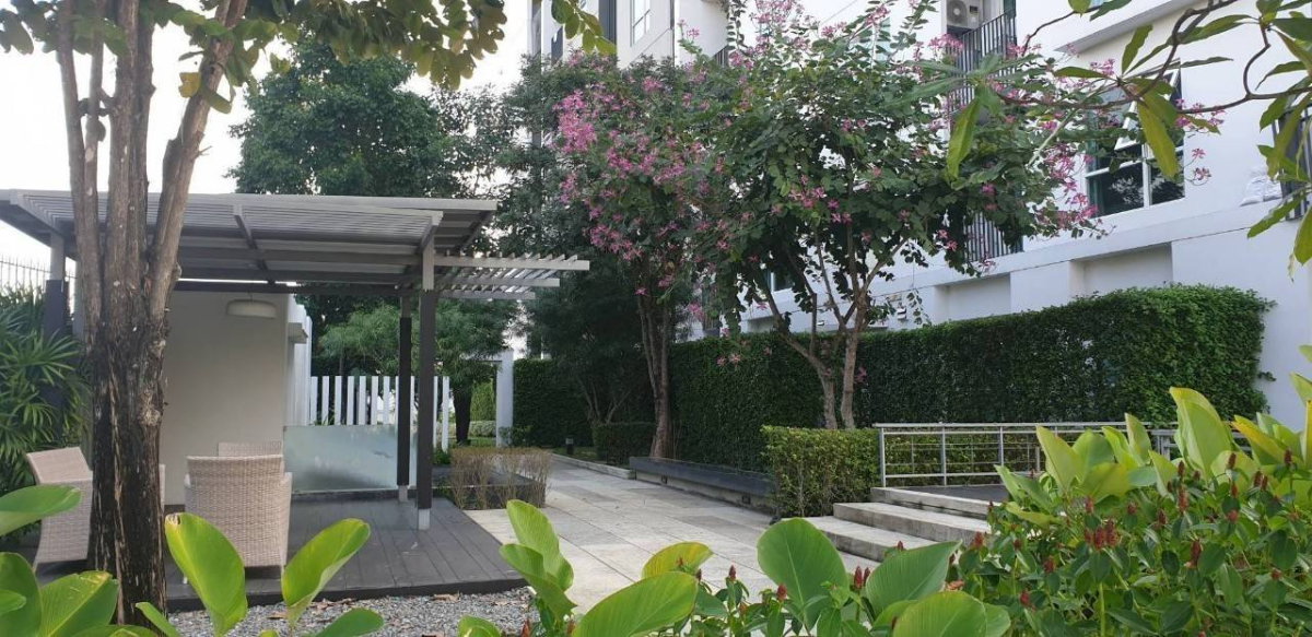 รูป ขาย คอนโดนอร์ท โฟร์ North 4 วิวดอยสุเทพ ในโครงการ Serene Lake เชียงใหม่ 35.18 ตร.ม. 1 ห้องนอน 1 ห้องน้ำ  - รูปที่ 14/14