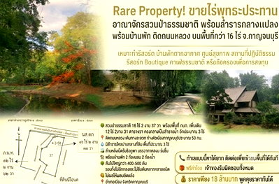 ที่ดิน กาญจนบุรี : 🌳 Rare Property! ขายอาณาจักรสวนป่าธรรมชาติ พร้อมลำธารกลางแปลง ต้นไม้ใหญ่ทั้งสวน วิวภูเขาด้านหลัง ติดถนนหลวง บนพื้นที่กว่า 16 ไร่ จ.กาญจนบุรี 🌿