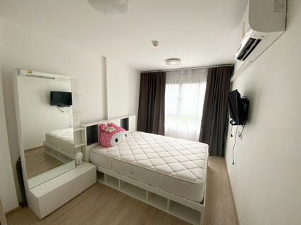 รูปภาพ P-2726 | Elio Condo ฟังก์ชันครบ พร้อมหิ้วกระเป๋าเข้าอยู่ ใกล้ BTS ปุณณวิถี 12,000 บาท | Line Id: @easycondoplus | 099-229-6397