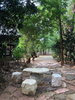 listing thumbnail image 7