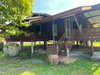 listing thumbnail image 19