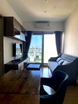 Condos for rent : 🔺 For Rent Condo WHIZDOM CONNECT SUKHUMVIT Building 1, Floor 21,1 BED PLUS, Room size 42.00 sqm