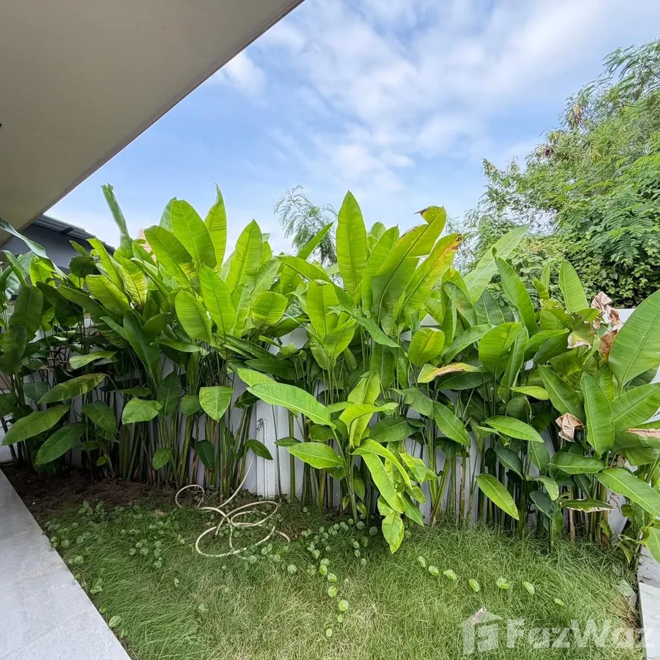 picture 3 Bedroom Villa for sale in Chalong, Phuket  5732639 - 2/24