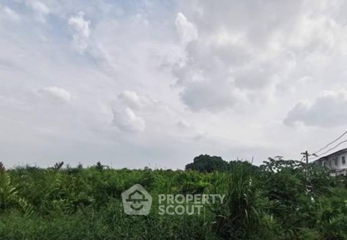รูป ที่ดินสำหรับขาย แพรกษาใหม่ อำเภอเมืองสมุทรปราการ จังหวัดสมุทรปราการ (ID 3039522) - รูปที่ 3/3