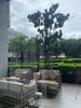 listing thumbnail image 17
