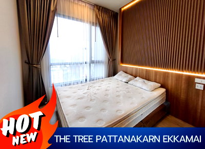Condos for rent : the tree pattanakarn ekkamai (the tree pattanakarn)