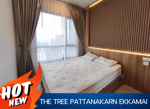 the tree pattanakarn ekkamai (the tree pattanakarn)