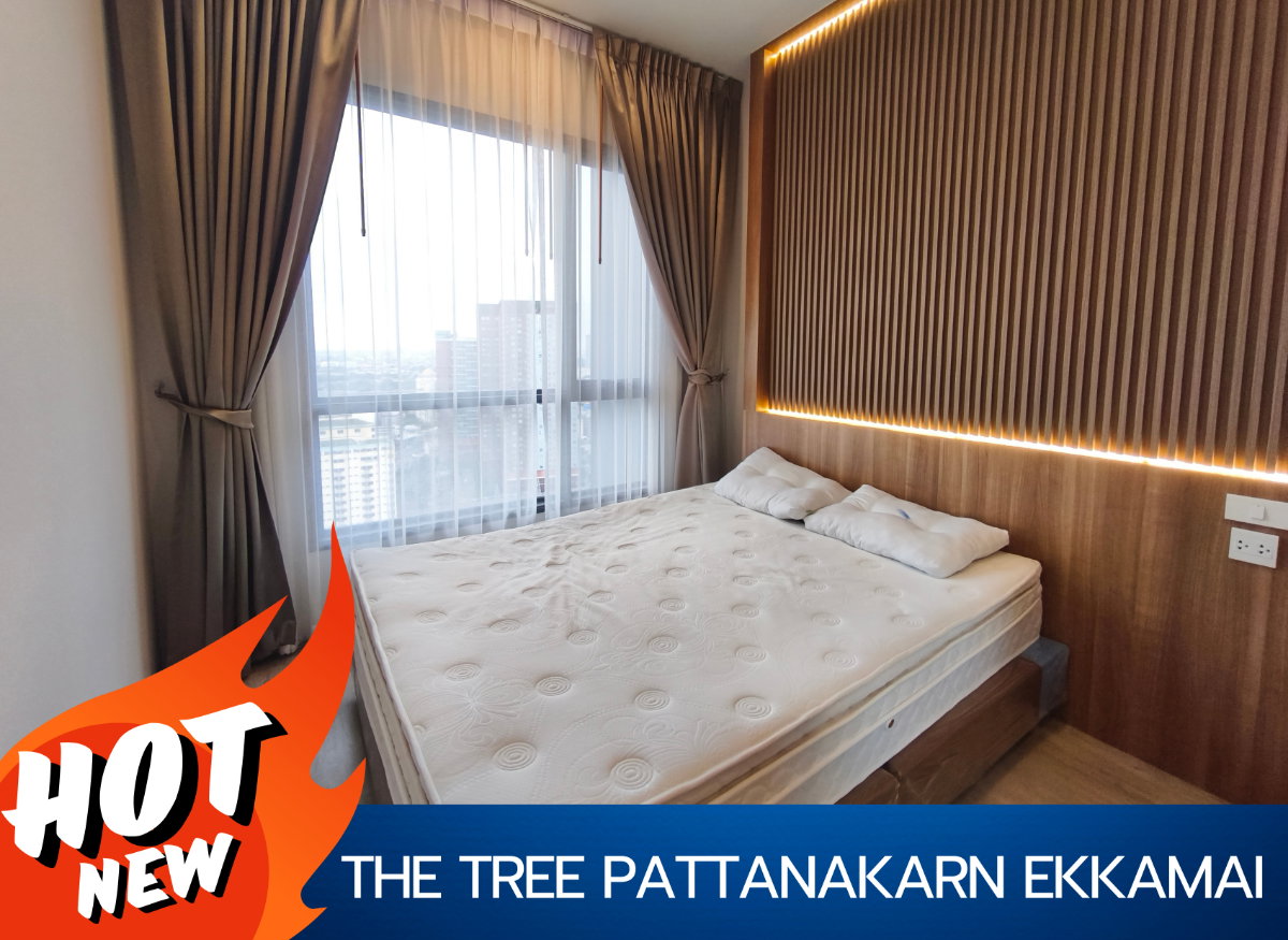 picture the tree pattanakarn ekkamai (the tree pattanakarn) - 1/8