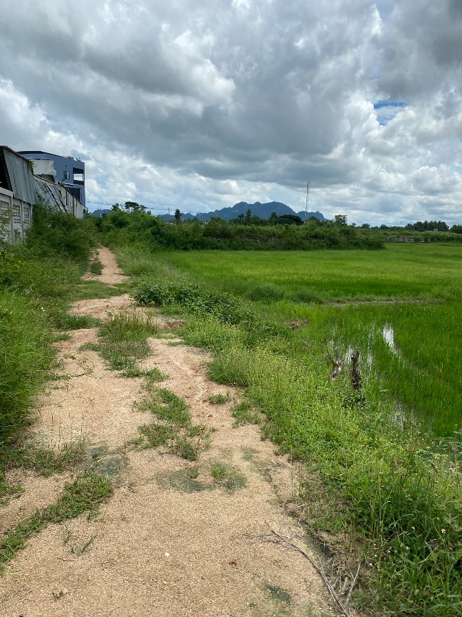 รูป ขายที่ดินชะอำ 10-2-65 ไร่ ราคาไร่ละ 2,500,000 ล้านบาท ใกล้ถนนเพชรเกษม 100ม. ห่างจากทะเลชะอำ 10 กม ที่ดินอยู่หลังโรงแรมขันทิมาบูติก - รูปที่ 6/8