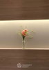 listing thumbnail image 20