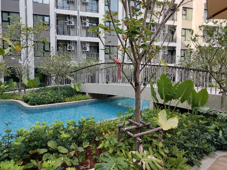 รูป The​ origin​ Kathu​ patong​ ประสบการณ์การอยู่อาศัยที่มากกว่า “การอยู่คอนโด” แต่คือการเป็นเจ้าของวิถีชีวิต ที่เติบโตไปพร้อมอนาคต ในแบบที่คุณเลือกเอง - รูปที่ 21/27