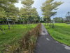 listing thumbnail image 30