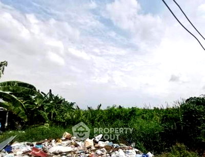 ที่ดิน นิคมบางปู : ที่ดินสำหรับขาย แพรกษาใหม่ อำเภอเมืองสมุทรปราการ จังหวัดสมุทรปราการ (ID 3039522)