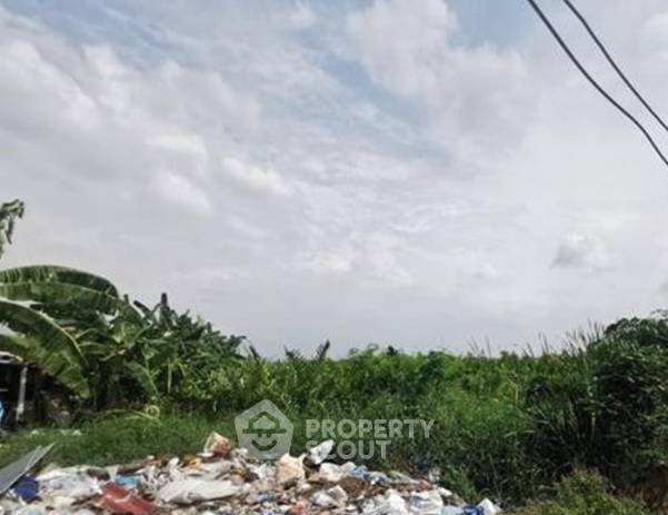 รูป ที่ดินสำหรับขาย แพรกษาใหม่ อำเภอเมืองสมุทรปราการ จังหวัดสมุทรปราการ (ID 3039522) - รูปที่ 1/3