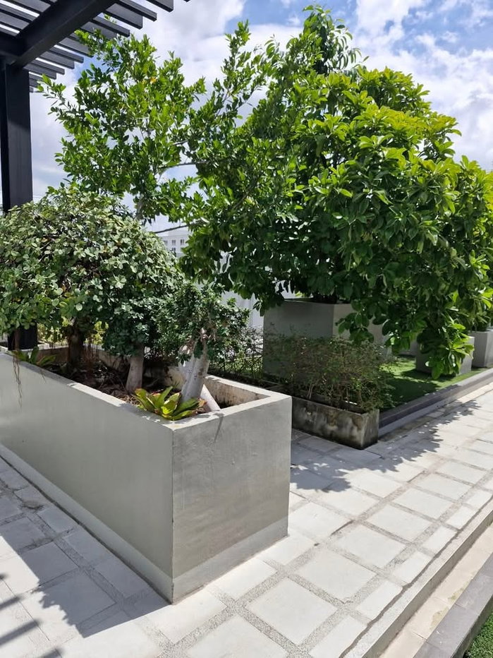 รูป 🏢 ขายคอนโด : The Ace Ekamai (ดิ เอซ เอกมัย)   รหัสทรัพย์ | 📌LNP-C13834  - รูปที่ 14/19