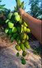 listing thumbnail image 10