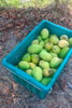 listing thumbnail image 4