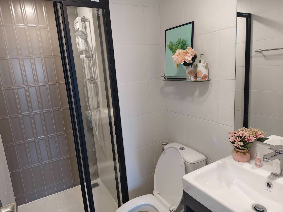 picture Kave Wonderland for rent....... - 9/20