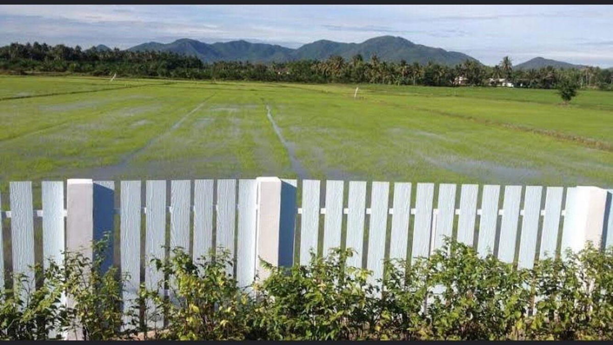 รูป ขายที่ดินชะอำ 10-2-65 ไร่ ราคาไร่ละ 2,500,000 ล้านบาท ใกล้ถนนเพชรเกษม 100ม. ห่างจากทะเลชะอำ 10 กม ที่ดินอยู่หลังโรงแรมขันทิมาบูติก - รูปที่ 4/8
