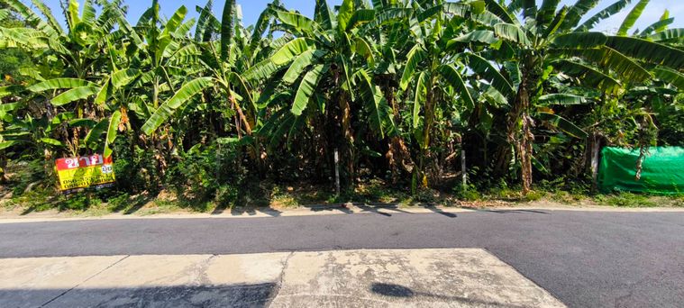 Land for sale, 106.7 sq wah, Lak Song Niwet