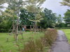 listing thumbnail image 28