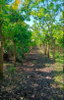 listing thumbnail image 8