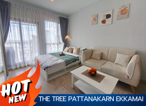 the tree pattanakarn ekkamai (the tree pattanakarn)