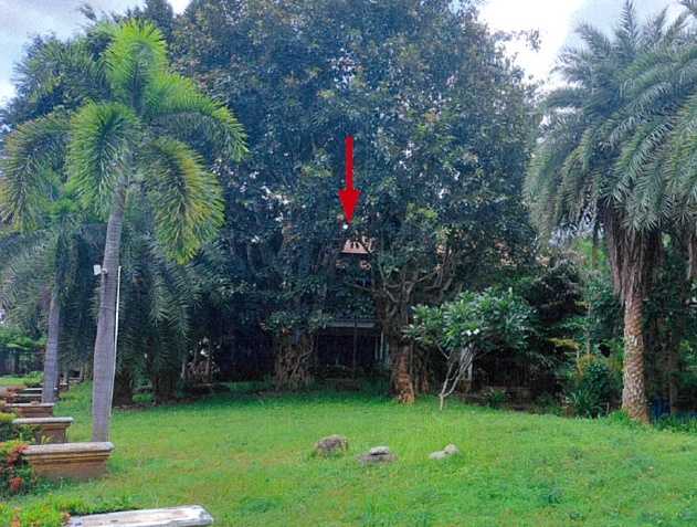 picture LAND 1843 Sq.w. Hang Dong Chiang Mai for 24.2M - 9/15