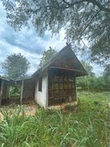 รูป ที่ดินพร้อมสิ่งปลูกสร้าง บ้านโฮ่ง ลำพูน (ติดต่อคุณปาลิดา 0 2353 5140) - รูปที่ 7/17