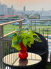 listing thumbnail image 7