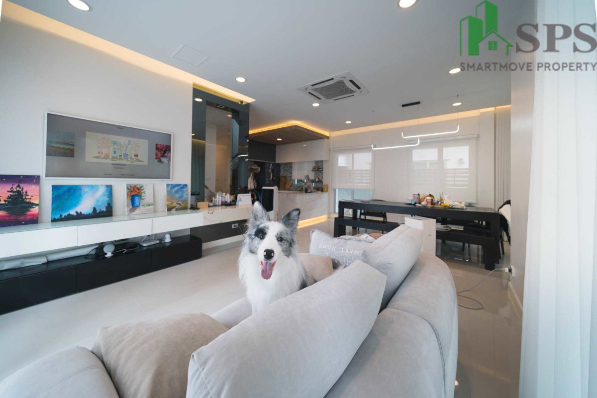 picture Detached House for Rent, Bangkok Boulevard Rama 9-Srinakarin (SPSJP445) - 2/4
