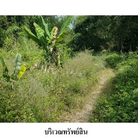 picture FOR SALE  LAND PROPERTY  1509000 BAHT. - 4/8