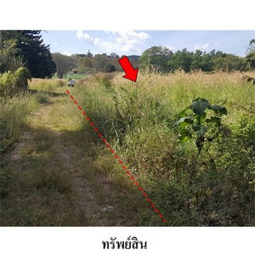 FOR SALE  LAND PROPERTY  1509000 BAHT.