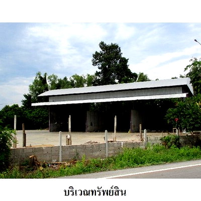 โรงงาน วังทอง พิษณุโลก : Z3A0466 ขายโกดัง ตำบล พันชาลี อำเภอ วังทอง จังหวัด พิษณุโลก