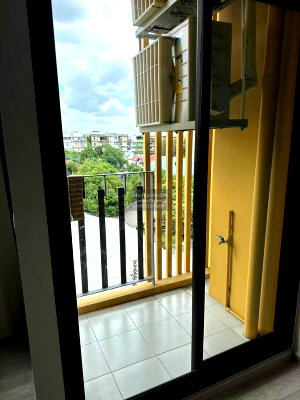 Condos for rent : 🔥🔥🔥 For Rent Condo , Plum Condo Sukhumvit 97.1 , BTS-Bang Chak , Bang Chak , Phra Khanong , Bangkok , CX-93424 ✅ Live chat with us ADD LINE @connexproperty ✅ 🔥🔥🔥