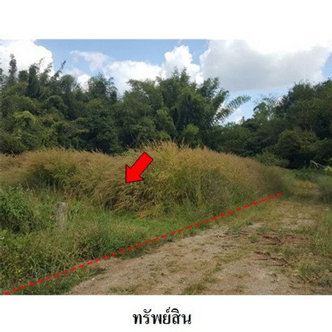 picture FOR SALE  LAND PROPERTY  1509000 BAHT. - 8/8