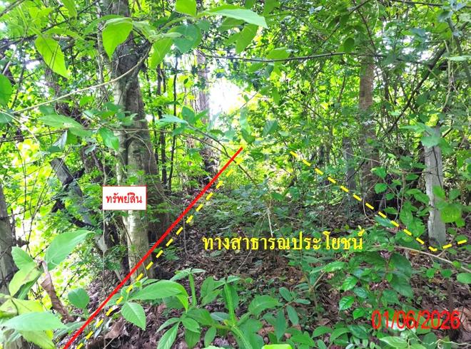 picture LAND 225 Sq.w. Thoen Lamphang for 282,000 - 3/14