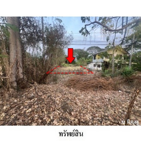 picture FOR SALE LAND PROPERTY 1814000 BAHT. - 3/8
