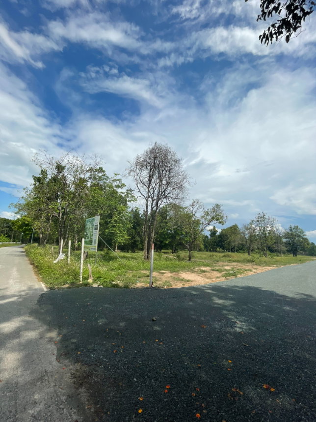 รูป  ขายที่ดิน ราคาถูกที่สุดในน้ำแพร่ หางดง จ.เชียงใหม่  - รูปที่ 2/4
